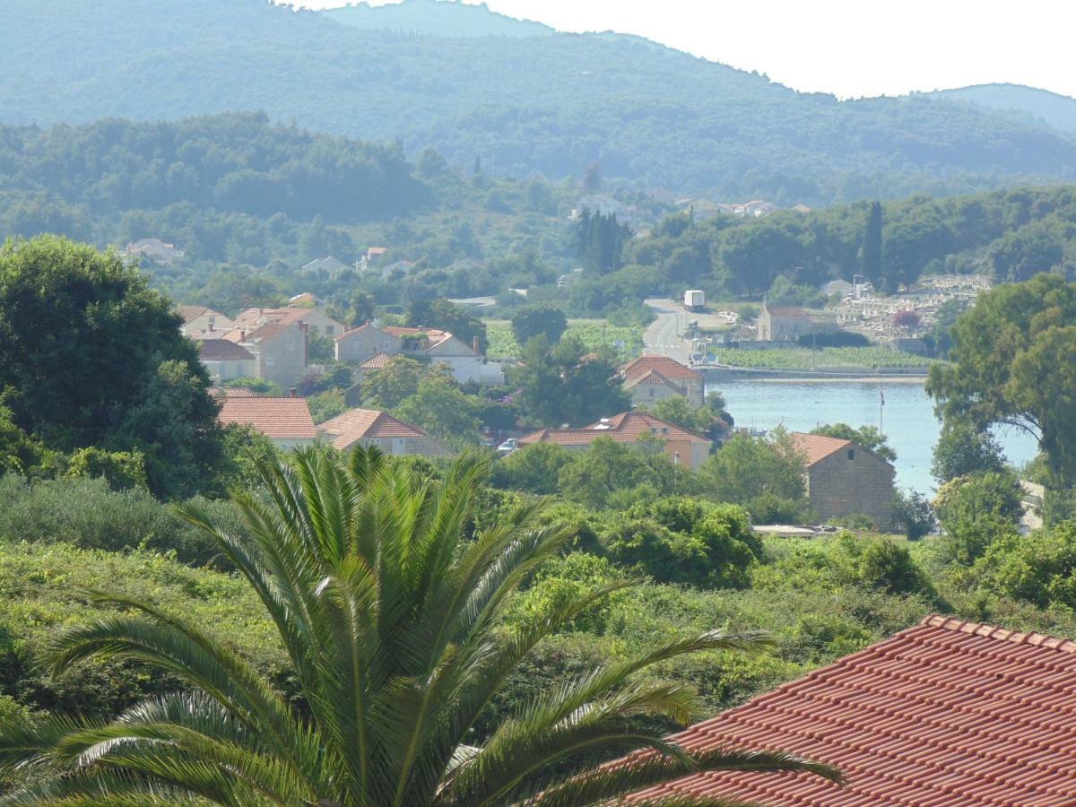 Stone House Apartment Didini Dvori Lumbarda Esterno foto